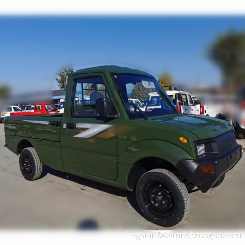 Georgia Over Oxarea Warehouse Pickup elettrico a buon mercato Made in Cina in vendita Carros Eletricos Adulto